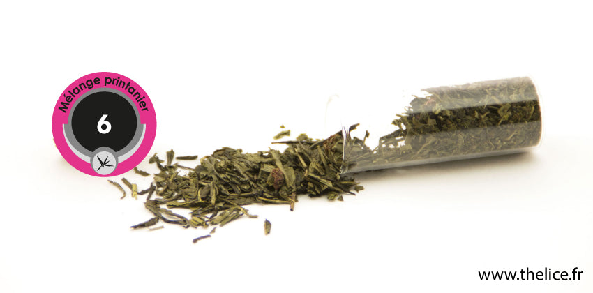 Mélange printanier - 006