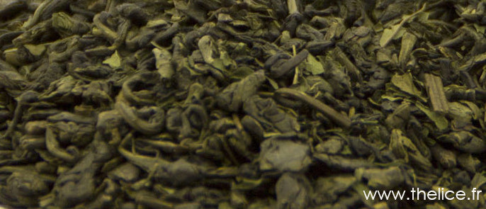 Vertige de menthe - 009