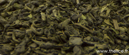 Vertige de menthe - 009